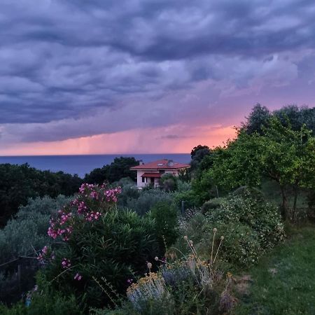 Piccola California Bed & Breakfast Muggia Ngoại thất bức ảnh