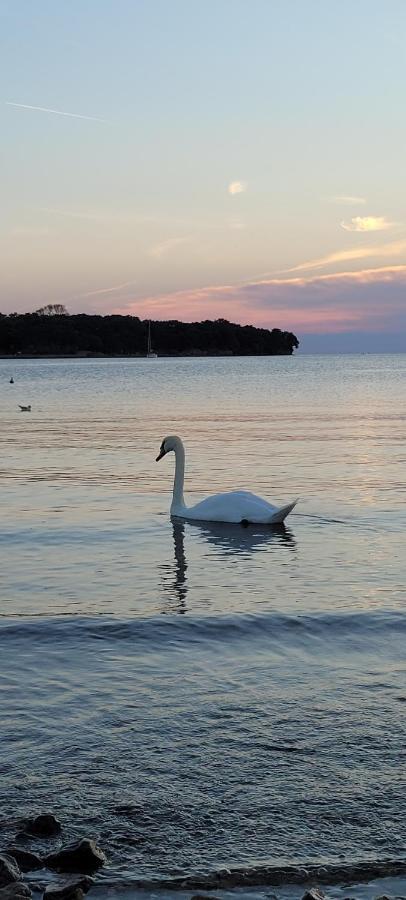 Piccola California Bed & Breakfast Muggia Ngoại thất bức ảnh