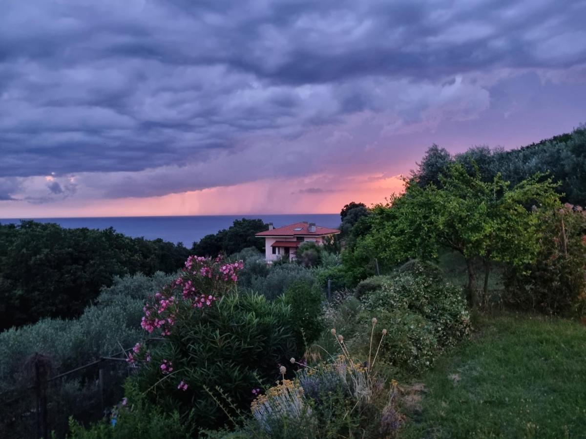 Piccola California Bed & Breakfast Muggia Ngoại thất bức ảnh