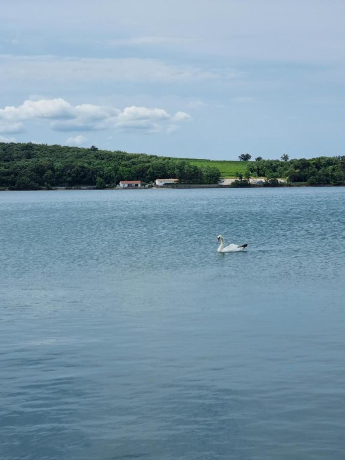 Piccola California Bed & Breakfast Muggia Ngoại thất bức ảnh